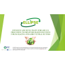 ELLIPSE - General Project Presentation
